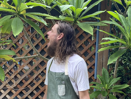 Quick Summer Dinners That Look and Taste Amazing